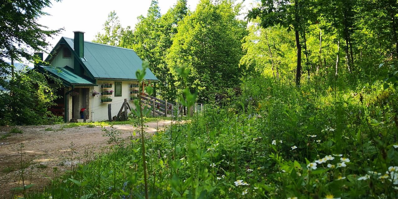 Апартаменты Koliba Pčelica 1 Биело-Поле-21