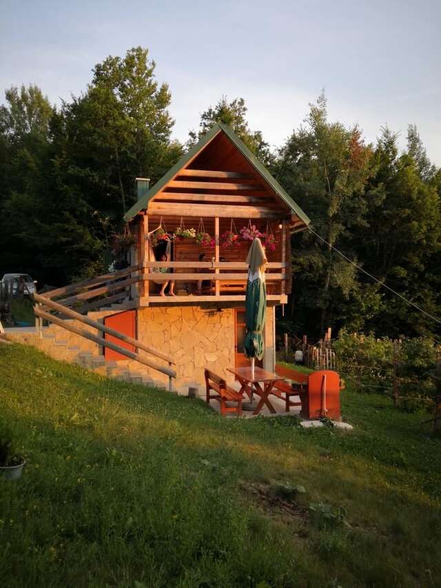 Апартаменты Koliba Pčelica 1 Биело-Поле-12